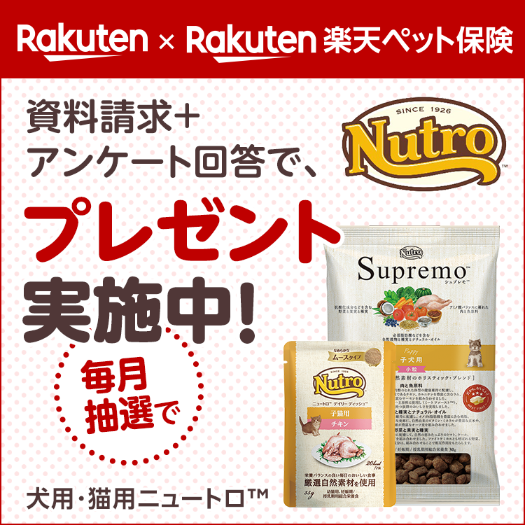 Rakuten × Rakuten楽天ペット保険 資料請求+アンケート回答で、毎月抽選でニュートロTM プレゼント実施中！ 犬用・猫用ニュートロTM