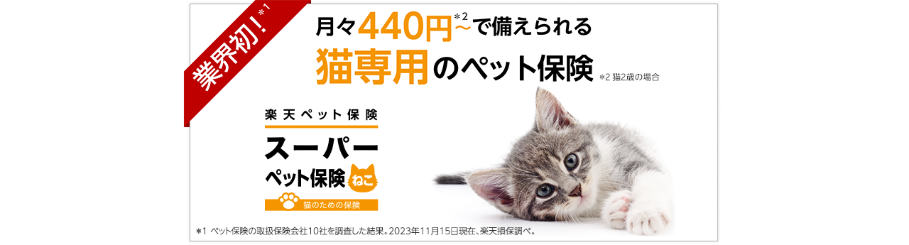 業界初！月々440円～で備えられる猫専用のペット保険 新登場 楽天ペット保険 スーパーペット保険ねこ