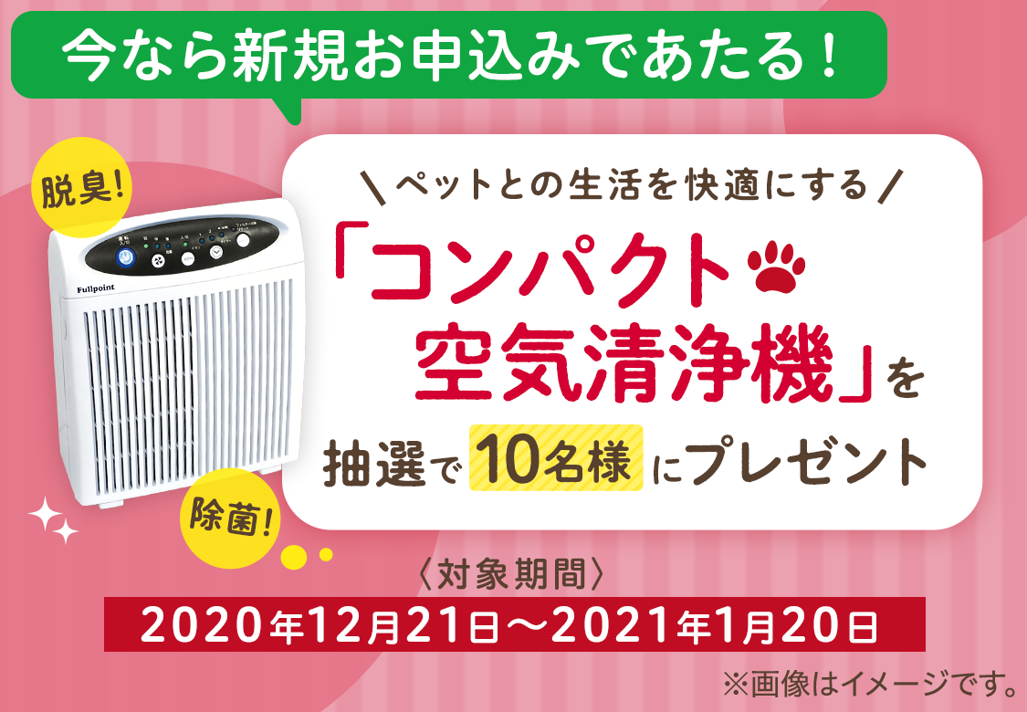 月々730円からのペット保険 楽天ペット保険