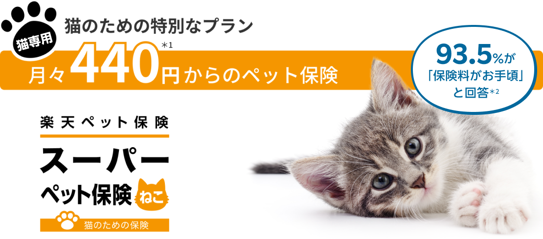 猫のための特別なプラン 月々440円※1からのペット保険