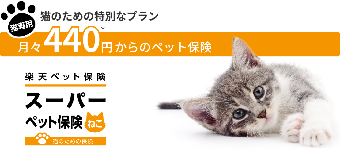 猫のための特別なプラン 月々440円※1からのペット保険