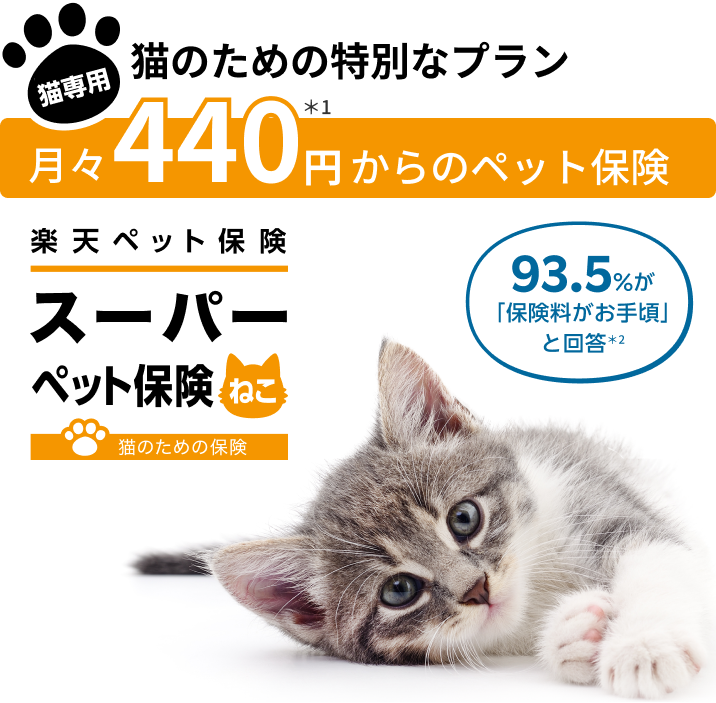 猫のための特別なプラン 月々440円※1からのペット保険