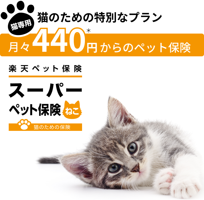 猫のための特別なプラン 月々440円※1からのペット保険