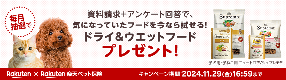 資料請求＋アンケート回答で、ドライ＆ウエットフードお試しプレゼント！実施中！